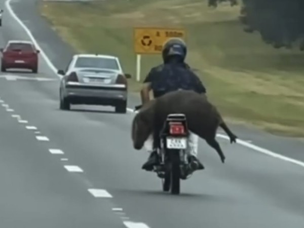 Ruta 9: filmaron a u...