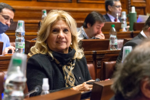 Diputada por Maldonado presenta proyecto de ley de cuotas para mujeres víctimas de violencia