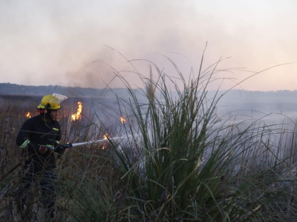 Incendio, Laguna del Diario, Bomberos