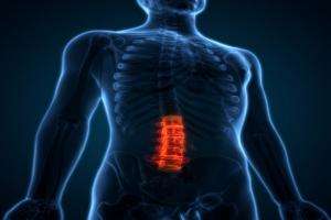 IDM se adhiere al Día Internacional de la Lesión Medular Espinal