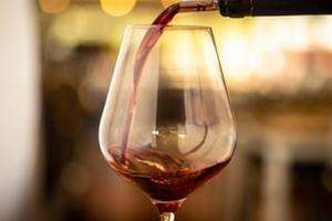 Destino vinícola: trabajan para potenciar propuestas que ofrecen las bodegas de Maldonado