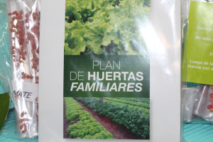 Plan de Huertas Familiares ya entregó centenares de paquetes de semillas; en algunos lugares ya se agotaron