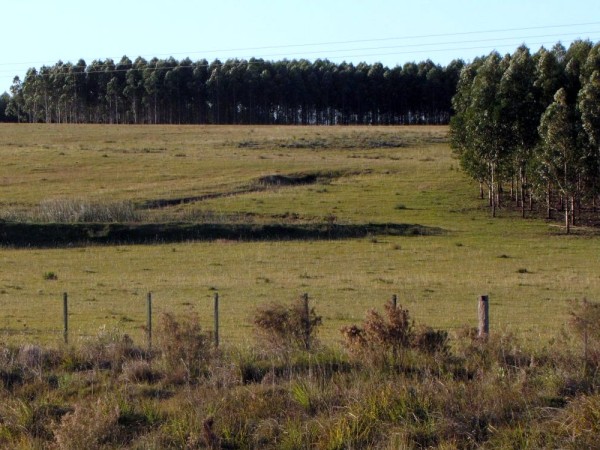 Edil señala “abandon...