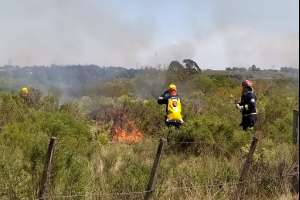 Se abre llamado para la contratación de 150 bomberos zafrales; algunos se desempeñarán en Maldonado