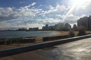 Limpieza Internacional de Costas será el 14 de este mes y habrá actividad en Maldonado