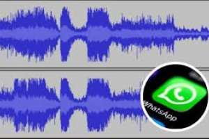 Audio viral: MSP aplicó multa de $ 40.000 a operadora inmobiliaria de Punta del Este