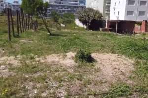 IDM radicó denuncia penal contra los ocupantes de un predio en la Parada 3