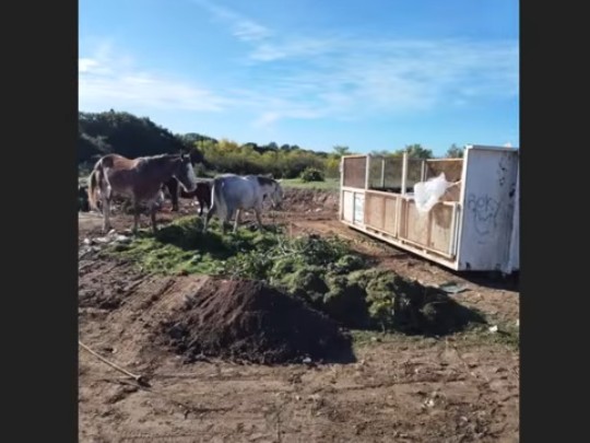 Edil denuncia que pr...