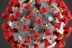 Lunes con 149 casos nuevos de Covid-19, un fallecido y Maldonado con 20 activos