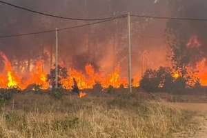 4 hectáreas fueron consumidas por el fuego en Sauce de Portezuelo