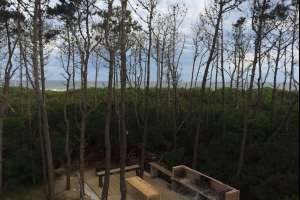 José Ignacio está con riesgo "muy alto" de incendio forestal