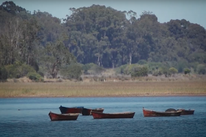 Inician retiro de redes de baja tensión para avanzar en el Parque Lineal