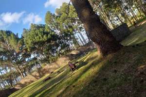 Reabren parques con capacidad limitada