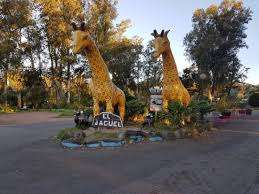 Con moderada presencia de público, abrieron los parques