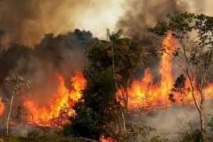 Bomberos de Piriápolis extinguieron incendio en el cerro del Toro