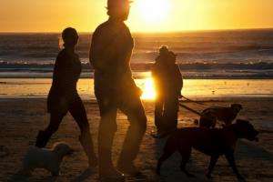 IDM recuerda cuáles son las playas habilitadas para mascotas