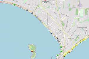 Playas de Maldonado: información sobre presencia de medusas se puede consultar en tiempo real en la web de la IDM