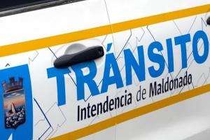 Oficinas de Licencia de Conducir, Registro de Vehículos y Servicio de Inspectores se encuentran atendiendo en forma normal