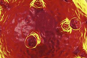 Bajaron los casos nuevos: con 4.097 test hubo 396 y se registraron 8 muertes