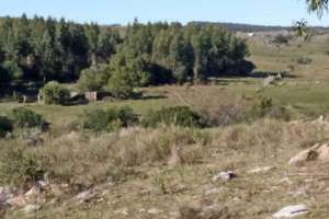 En 13 días de febrero cayeron 240 mm cerca de Pan de Azúcar