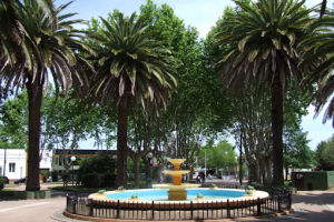 Elaboran registro de artistas y entidades culturales en San Carlos