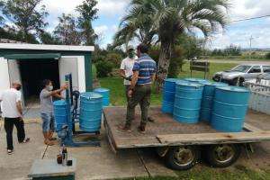 Escuela Municipal de Apicultura de San Carlos exportó más de siete toneladas de miel a Alemania