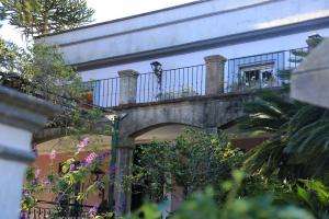 Arboretum Lussich permanecerá cerrado por remodelación de la Casona y tareas de mantenimiento del parque