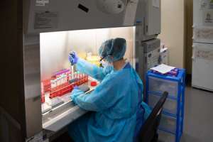 Covid-19: 872 casos nuevos y 7 fallecimientos más