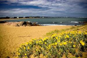 Exponen sobre la costa de Maldonado