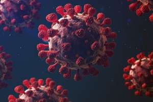 Coronavirus: 1693 casos nuevos y 13 fallecidos