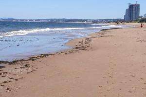 IDM retira en forma paulatina la gran cantidad de “resaca” presente en la costa