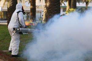 Equipo de Control de Vectores: Intendencia desarrolla una gran labor en materia de desinfección y fumigación