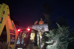 Cuadrillas de Aseo Urbano retiraron un árbol que cayó sobre la vía pública e impedía la circulación