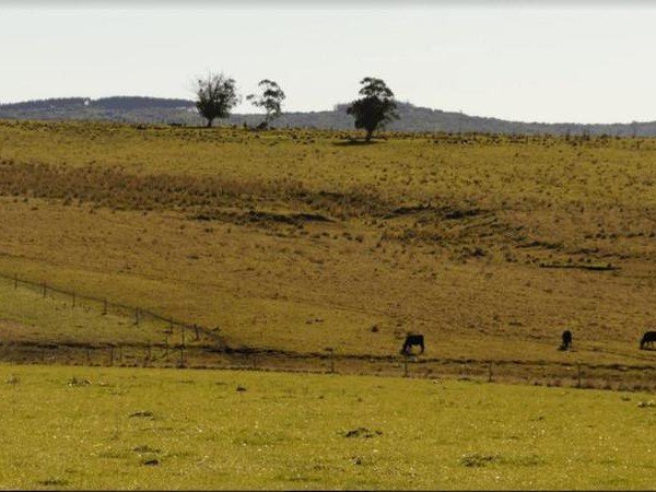 En el 2023 en Maldonado se vendieron más de 47 millones de dólares de tierra para uso agropecuario