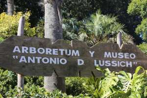 Antía destacó importante inversión para la recuperación del Arboretum Lussich