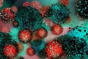 Coronavirus en Uruguay: 3.979 casos nuevos, 51 fallecimientos con 2 de Maldonado y 504 pacientes en CTI
