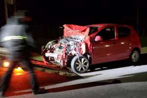 Animales sueltos ocasionaron dos siniestros en rutas de Maldonado y un conductor ebrio impactó camioneta de tránsito de la IDM