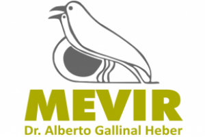 Presidente de MEVIR e Intendente inauguran viviendas en Aiguá