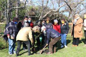 Dirección de Medio Ambiente, Municipio de Maldonado y Zonta plantaron árboles en el Paseo de La Aguada