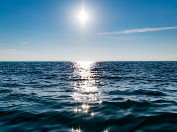 Llega una nueva edic...