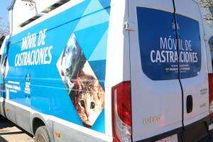 Castraciones caninas en Maldonado y San Carlos