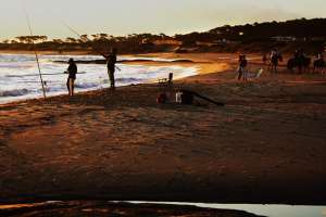 Preocupa nueva concesión del parador de playa Mansa de José Ignacio