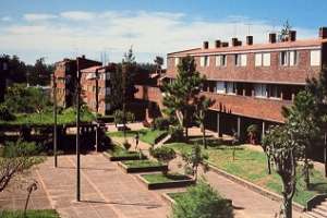 Barrio Norte enfrenta complicada situación generada por juicios cruzados entre varios actores