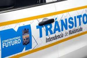 Varias secciones de la Dirección General de Tránsito permanecerán cerradas durante 48hs por prevención