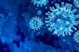 Covid-19: 260 casos nuevos y 22 pacientes en CTI