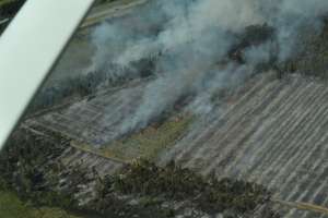 Incendio consumió 300 hectáreas de campo en Cerros Azules