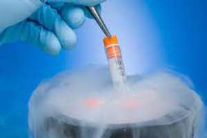 Diputados aprobó proyecto de criopreservación de gametos para mujeres bajo tratamiento oncológico