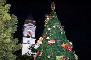 Se encendió el árbol de navidad de la plaza San Fernando; el municipio de Maldonado realiza audiencia pública