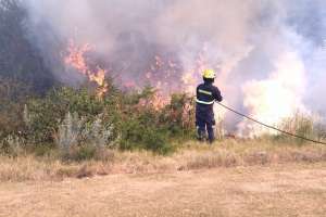 Bomberos dominó un intenso incendio en un amplio predio entre El Placer y Rincón del Indio
