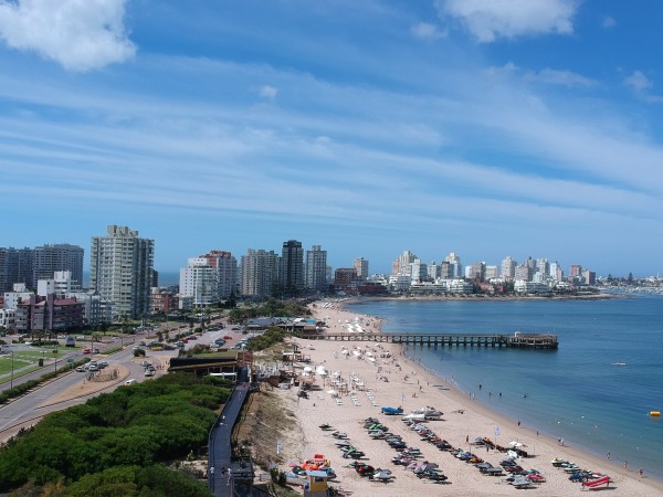 Especialista advirtió sobre los riesgos de nadar en aguas abiertas